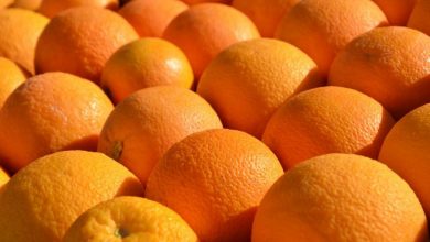صورة 4 مسافرين يتناولون 30 كيلوغراما من البرتقال قبل انطلاق رحلتهم